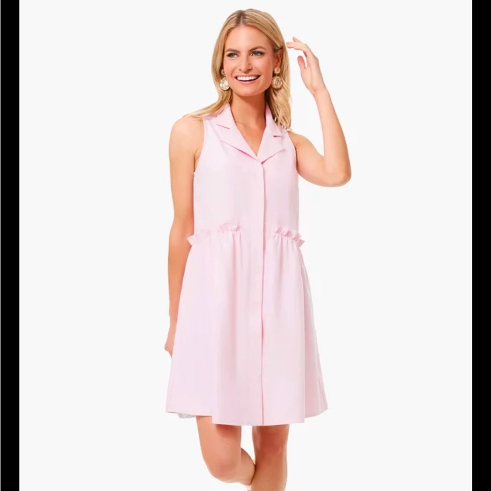 Tuckernuck Pink Oxford Sleeveless Royal Shirt Dress